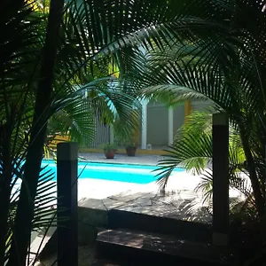  Couette-café D'hôte La Gialla Martinique